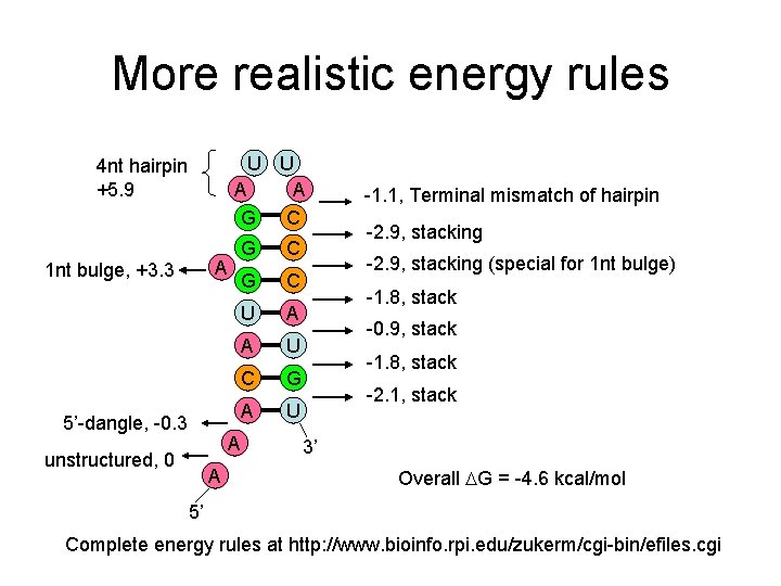 More realistic energy rules U U A A G C 4 nt hairpin +5.