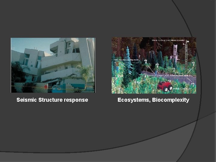 Seismic Structure response Ecosystems, Biocomplexity 