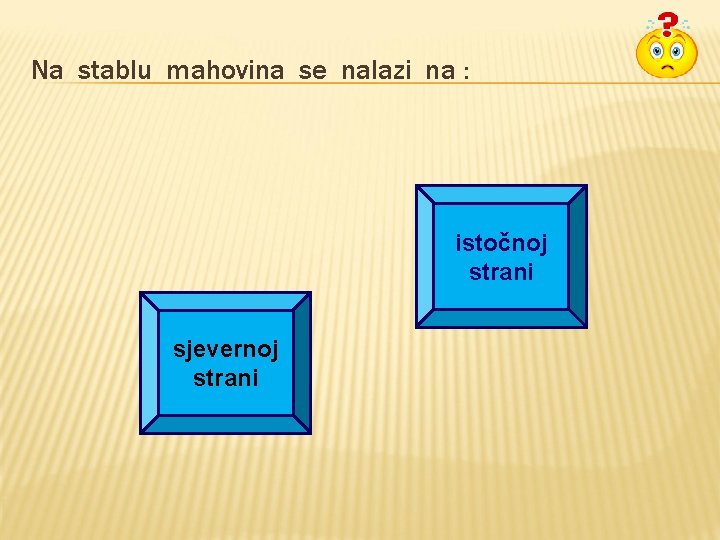 Na stablu mahovina se nalazi na : istočnoj strani sjevernoj strani Na stablu mahovina se nalazi na : istočnoj strani sjevernoj strani