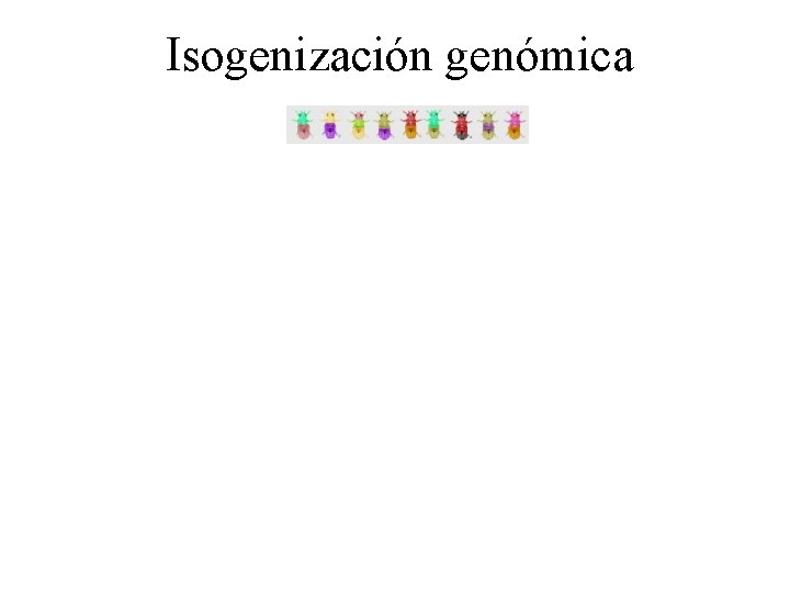 Isogenización genómica 