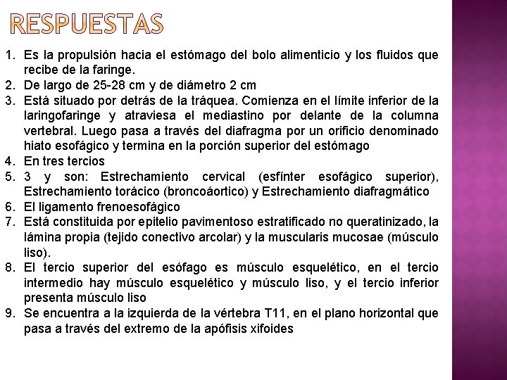 1. Es la propulsión hacia el estómago del bolo alimenticio y los fluidos que