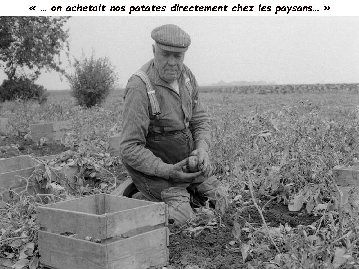  « … on achetait nos patates directement chez les paysans… » 