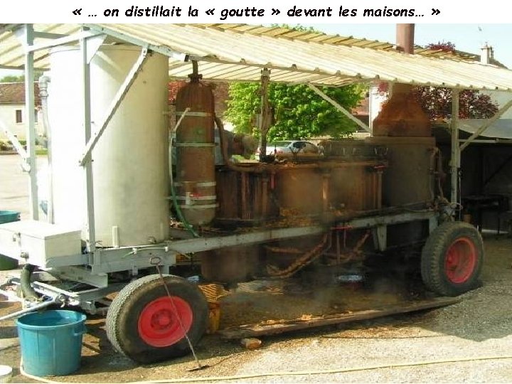  « … on distillait la « goutte » devant les maisons… » 