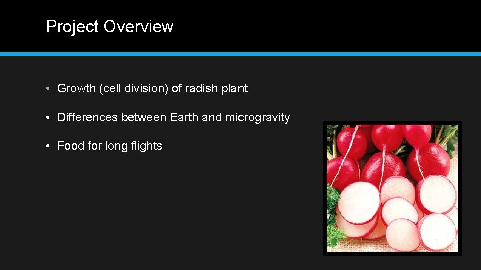 Project Overview • Growth (cell division) of radish plant • Differences between Earth and