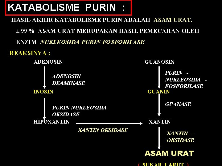 KATABOLISME PURIN : HASIL AKHIR KATABOLISME PURIN ADALAH ASAM URAT. ± 99 % ASAM