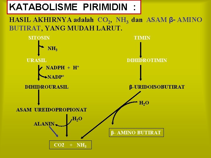 KATABOLISME PIRIMIDIN : HASIL AKHIRNYA adalah CO 2, NH 3 dan ASAM β- AMINO