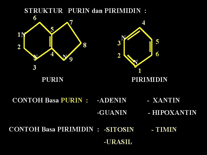 STRUKTUR PURIN dan PIRIMIDIN : 6 7 4 5 1 N N 5 3