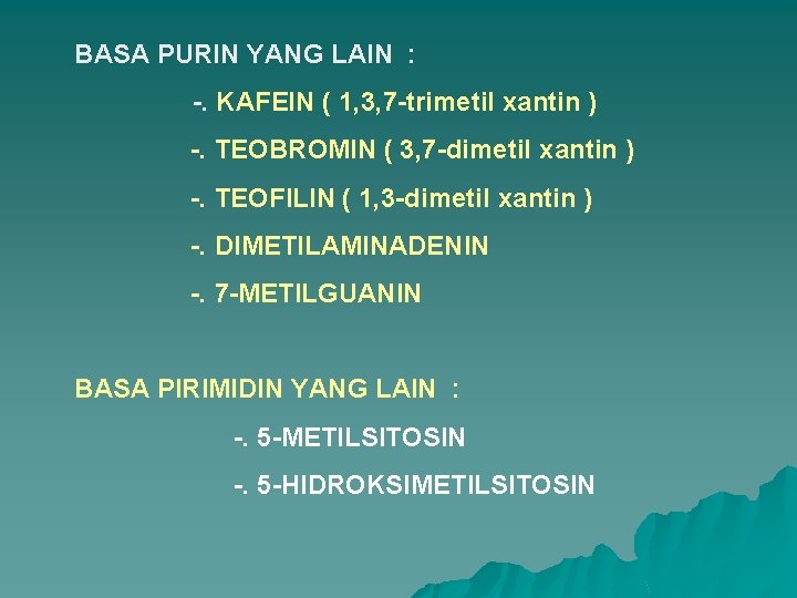 BASA PURIN YANG LAIN : -. KAFEIN ( 1, 3, 7 -trimetil xantin )