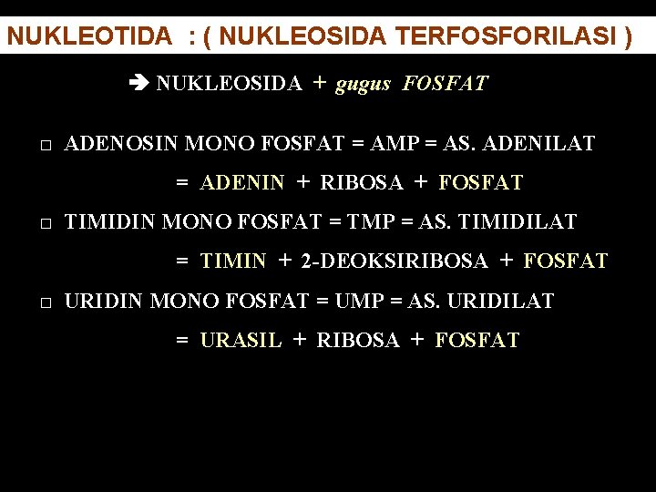 NUKLEOTIDA : ( NUKLEOSIDA TERFOSFORILASI ) NUKLEOSIDA + gugus FOSFAT □ ADENOSIN MONO FOSFAT