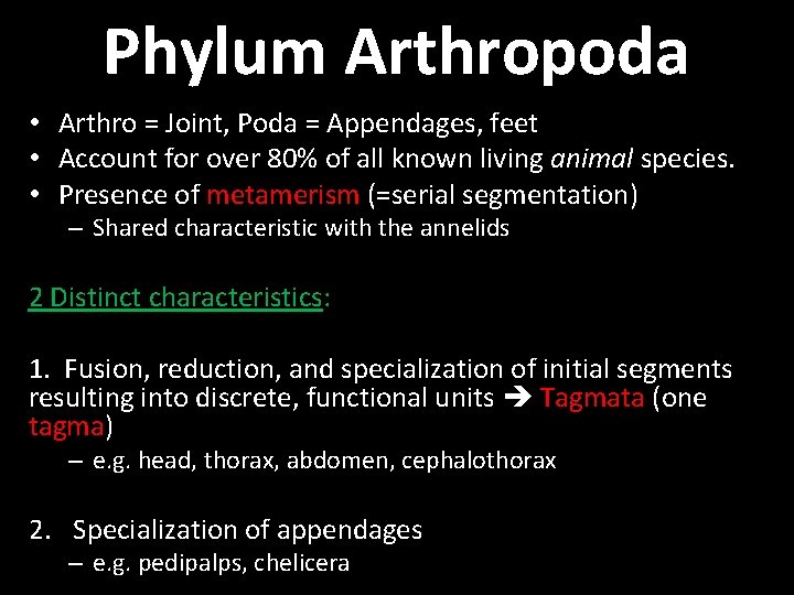 Phylum Arthropoda • Arthro = Joint, Poda = Appendages, feet • Account for over