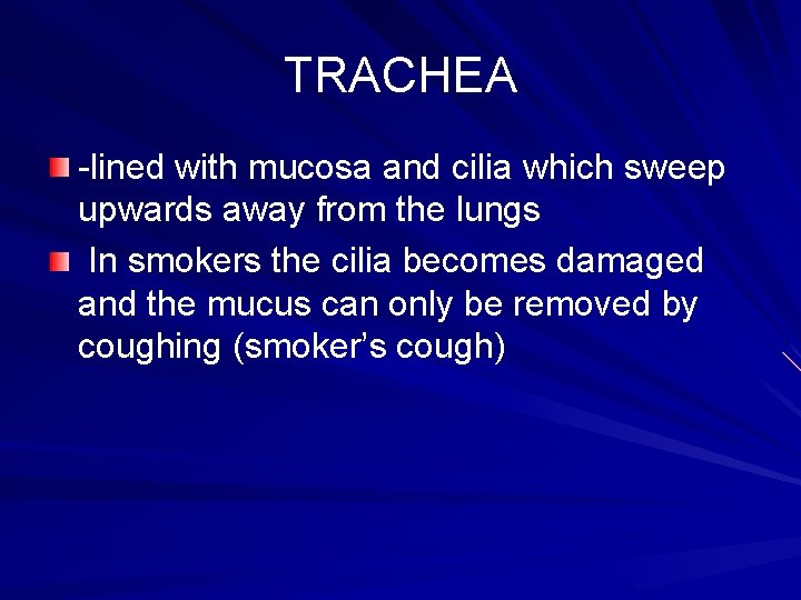 TRACHEA -lined with mucosa and cilia which sweep upwards away from the lungs In