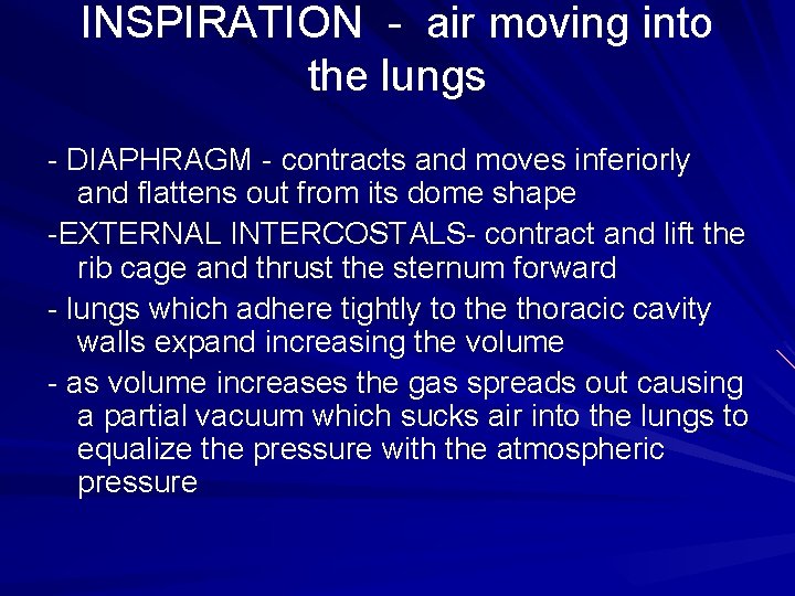 INSPIRATION - air moving into the lungs - DIAPHRAGM - contracts and moves inferiorly