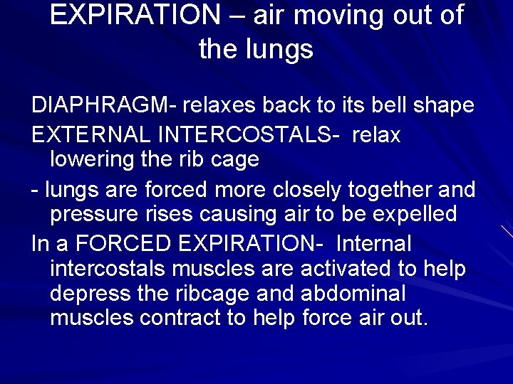 EXPIRATION – air moving out of the lungs DIAPHRAGM- relaxes back to its bell
