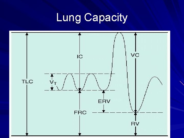 Lung Capacity 