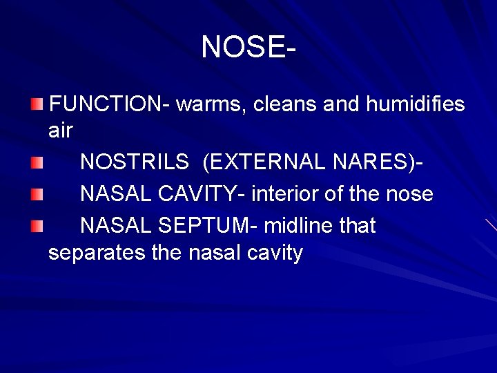 NOSEFUNCTION- warms, cleans and humidifies air NOSTRILS (EXTERNAL NARES)NASAL CAVITY- interior of the nose