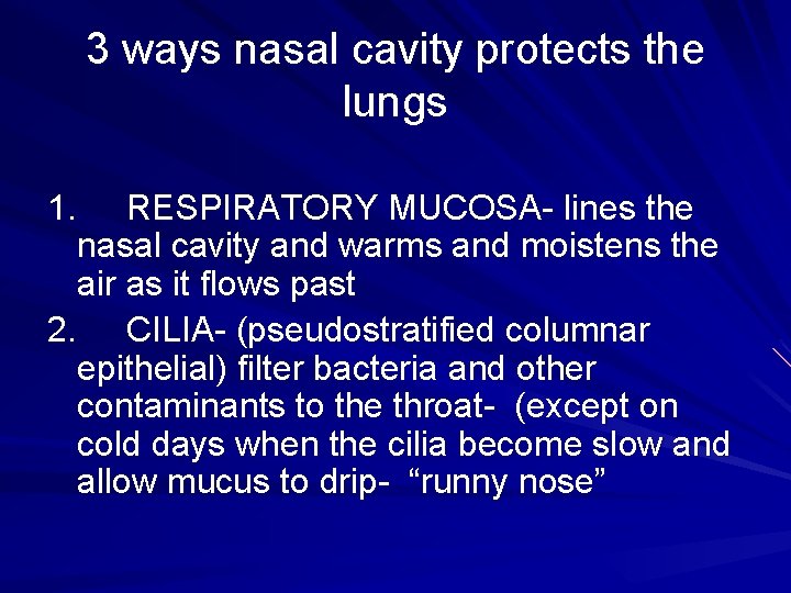 3 ways nasal cavity protects the lungs 1. RESPIRATORY MUCOSA- lines the nasal cavity