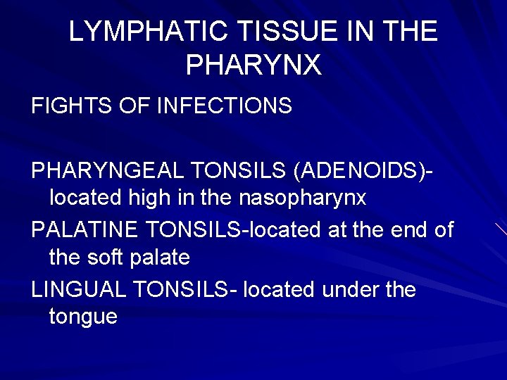 LYMPHATIC TISSUE IN THE PHARYNX FIGHTS OF INFECTIONS PHARYNGEAL TONSILS (ADENOIDS)located high in the