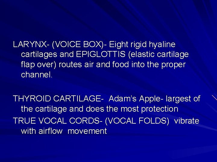 LARYNX- (VOICE BOX)- Eight rigid hyaline cartilages and EPIGLOTTIS (elastic cartilage flap over) routes
