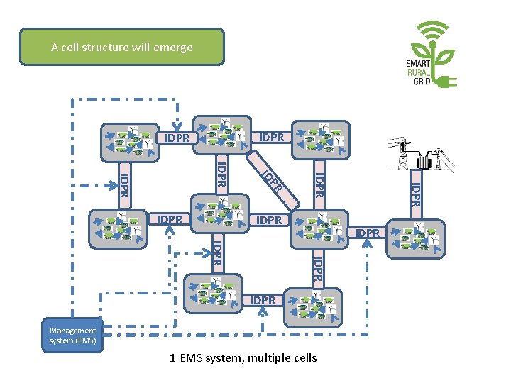 A cell structure will emerge IDPR IDPR PR ID IDPR IDPR Management system (EMS)