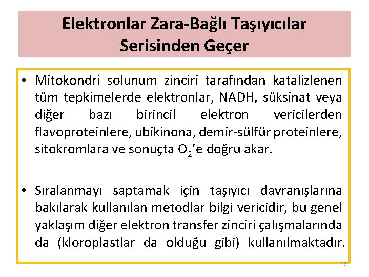 Elektronlar Zara-Bağlı Taşıyıcılar Demir-Sülfür Proteinleri Serisinden Geçer • Mitokondri solunum zinciri tarafından katalizlenen tüm
