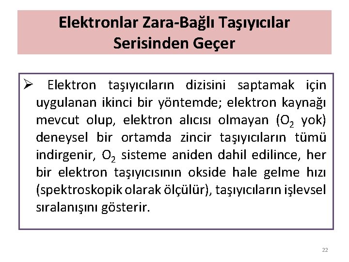 Elektronlar Zara-Bağlı Taşıyıcılar Serisinden Geçer Ø Elektron taşıyıcıların dizisini saptamak için uygulanan ikinci bir