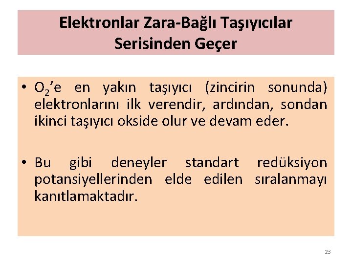 Elektronlar Zara-Bağlı Taşıyıcılar Serisinden Geçer • O 2’e en yakın taşıyıcı (zincirin sonunda) elektronlarını