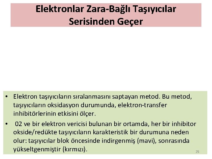 Elektronlar Zara-Bağlı Taşıyıcılar Serisinden Geçer • Elektron taşıyıcıların sıralanmasını saptayan metod. Bu metod, taşıyıcıların