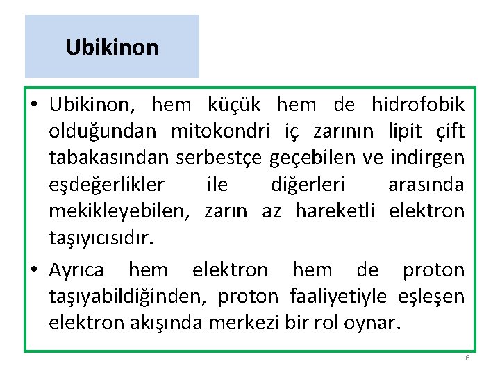 Ubikinon • Ubikinon, hem küçük hem de hidrofobik olduğundan mitokondri iç zarının lipit çift