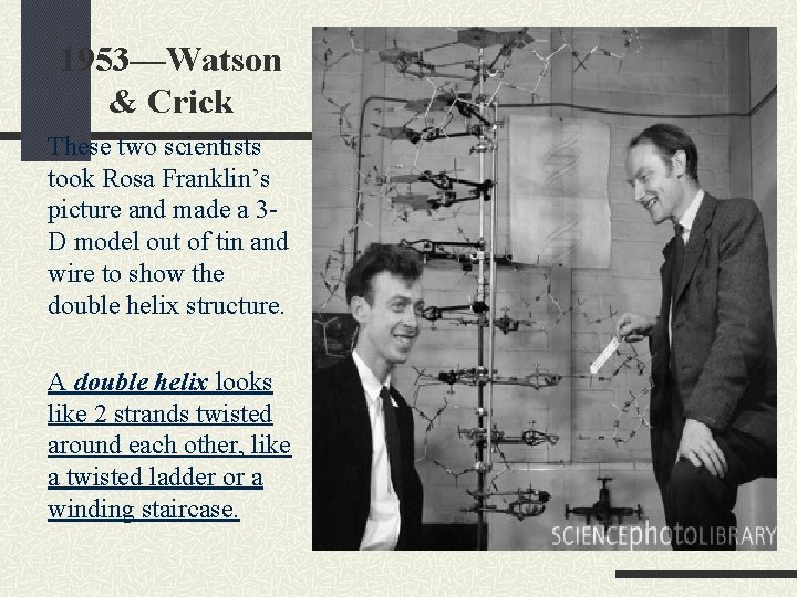 1953—Watson & Crick These two scientists took Rosa Franklin’s picture and made a 3