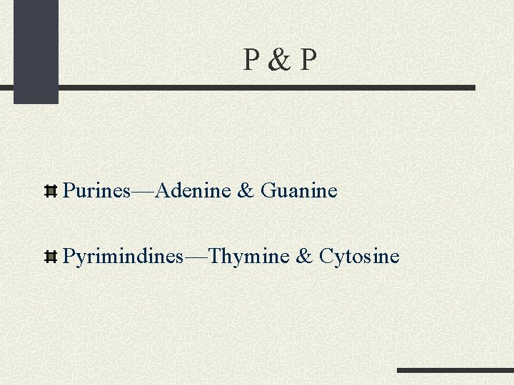 P & P Purines—Adenine & Guanine Pyrimindines—Thymine & Cytosine 
