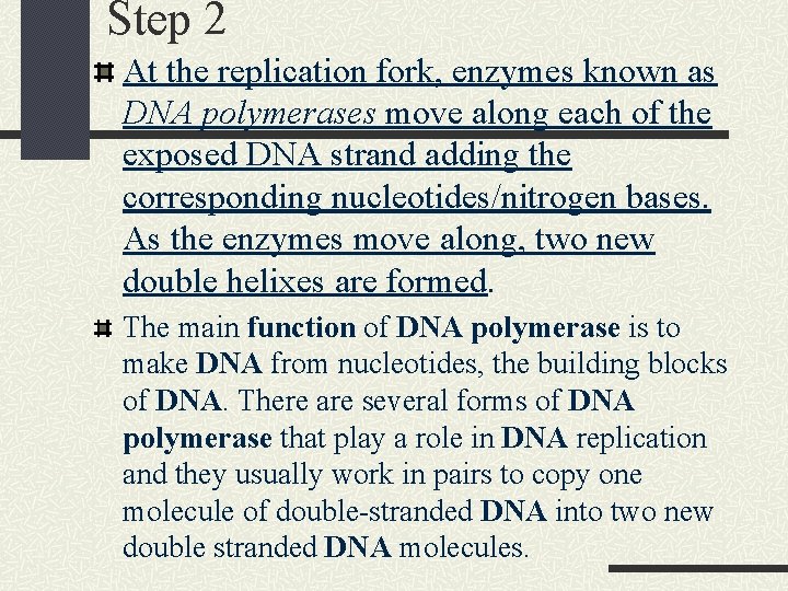 Step 2 At the replication fork, enzymes known as DNA polymerases move along each