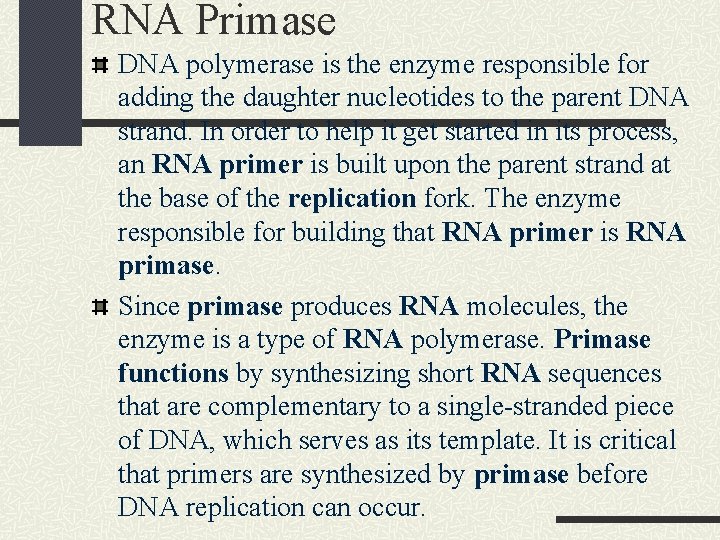 RNA Primase DNA polymerase is the enzyme responsible for adding the daughter nucleotides to