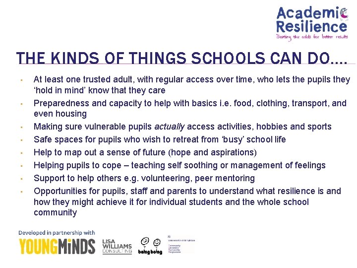 THE KINDS OF THINGS SCHOOLS CAN DO…. • • At least one trusted adult,