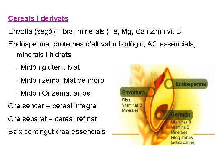 Cereals i derivats Envolta (segó): fibra, minerals (Fe, Mg, Ca i Zn) i vit