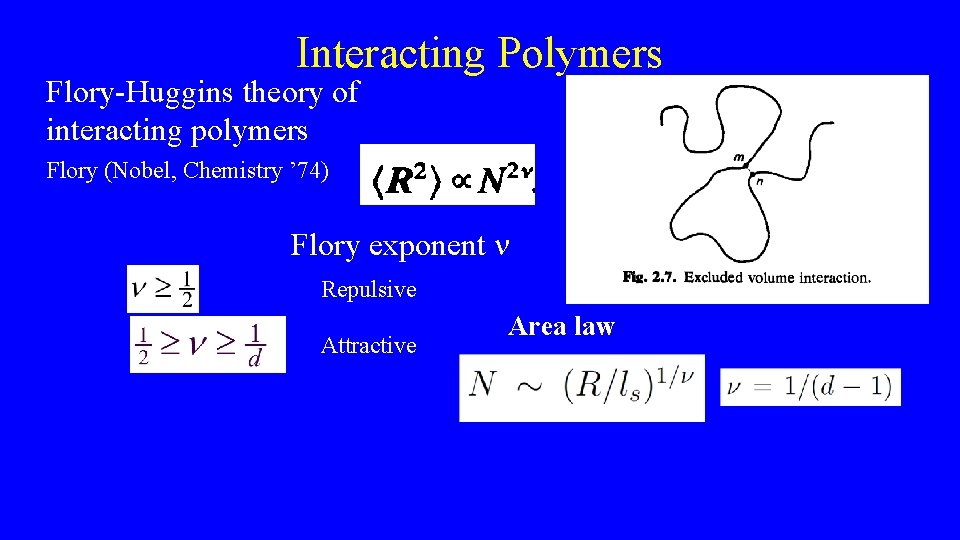 Interacting Polymers Flory-Huggins theory of interacting polymers Flory (Nobel, Chemistry ’ 74) Flory exponent