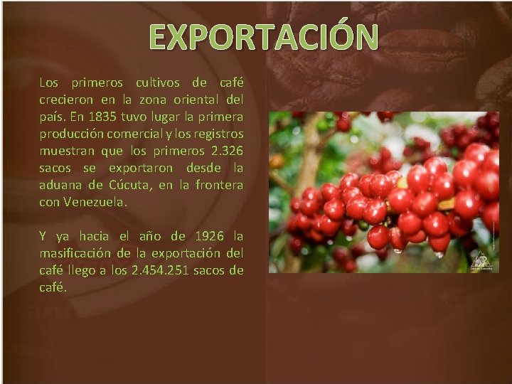 EXPORTACIÓN Los primeros cultivos de café crecieron en la zona oriental del país. En
