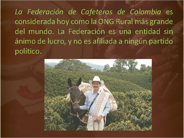 La Federación de Cafeteros de Colombia es considerada hoy como la ONG Rural más