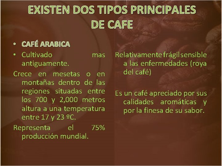 EXISTEN DOS TIPOS PRINCIPALES DE CAFE • CAFÉ ARABICA • Cultivado mas Relativamente frágil