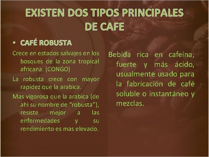 EXISTEN DOS TIPOS PRINCIPALES DE CAFE • CAFÉ ROBUSTA Crece en estados salvajes en