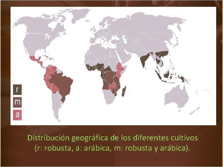 Distribución geográfica de los diferentes cultivos (r: robusta, a: arábica, m: robusta y arábica).