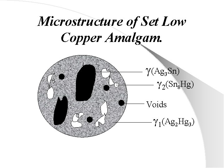 Microstructure of Set Low Copper Amalgam. (Ag 3 Sn) 2(Sn 8 Hg) Voids 1(Ag