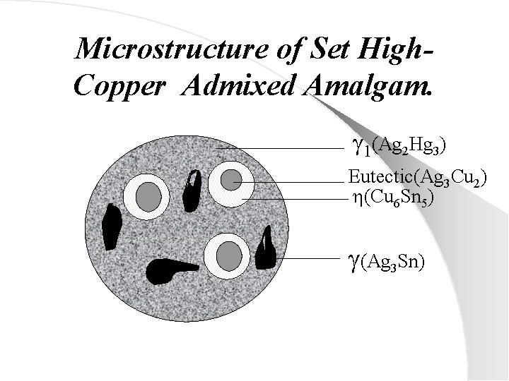 Microstructure of Set High. Copper Admixed Amalgam. 1(Ag 2 Hg 3) Eutectic(Ag 3 Cu