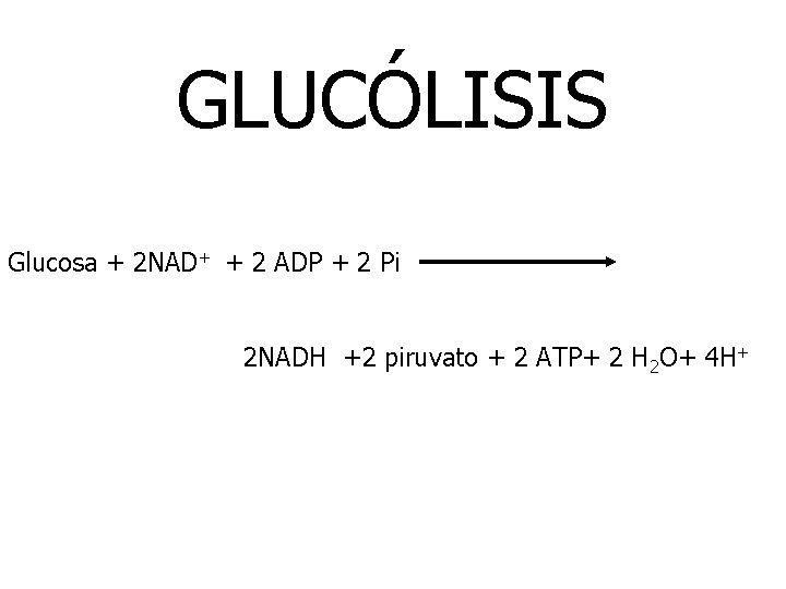 GLUCÓLISIS Glucosa + 2 NAD+ + 2 ADP + 2 Pi 2 NADH +2