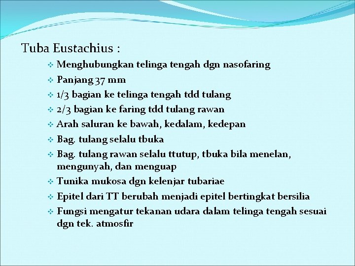 Tuba Eustachius : Menghubungkan telinga tengah dgn nasofaring v Panjang 37 mm v 1/3