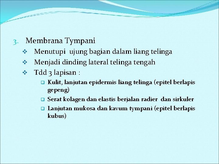 3. Membrana Tympani v Menutupi ujung bagian dalam liang telinga v Menjadi dinding lateral