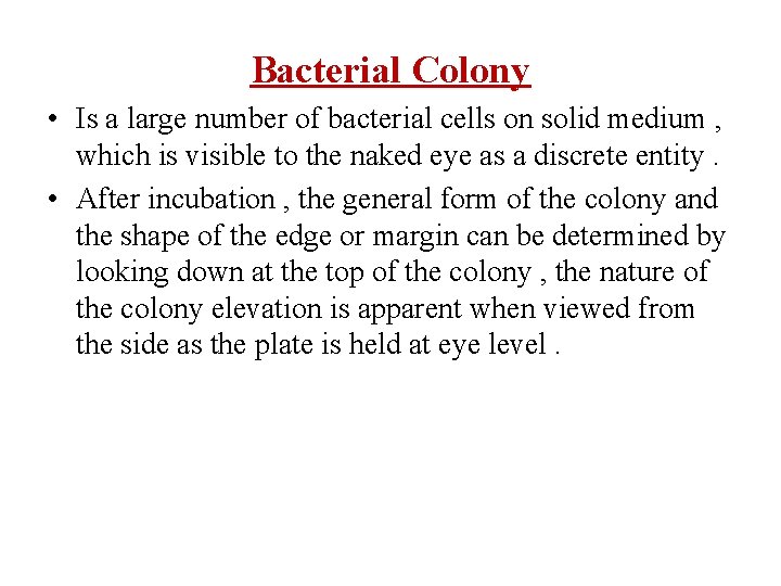 Bacterial Colony • Is a large number of bacterial cells on solid medium ,