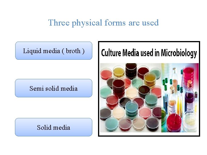 Three physical forms are used Liquid media ( broth ) Semi solid media Solid