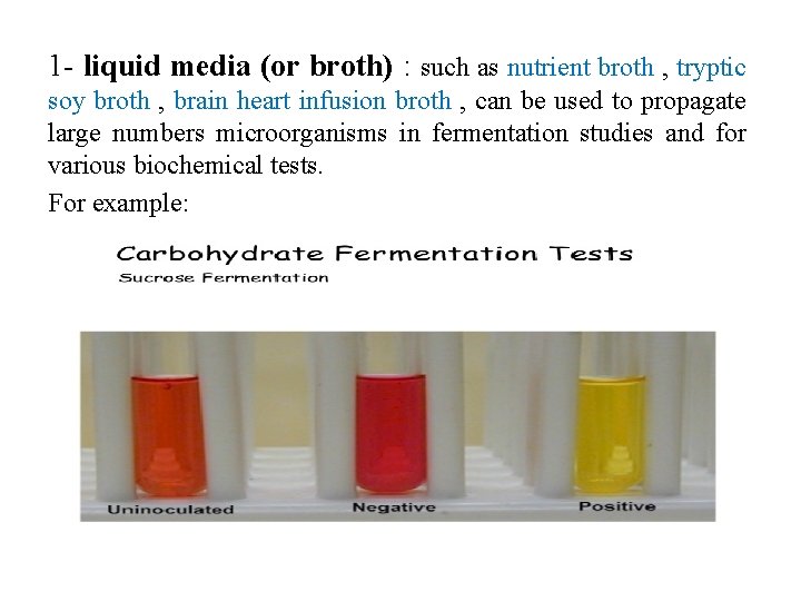 1 - liquid media (or broth) : such as nutrient broth , tryptic soy
