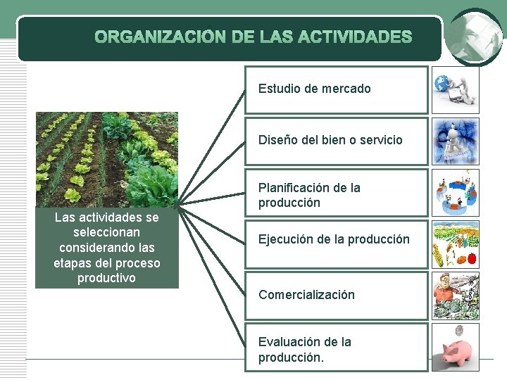 ORGANIZACIÓN DE LAS ACTIVIDADES Estudio de mercado Diseño del bien o servicio Planificación de