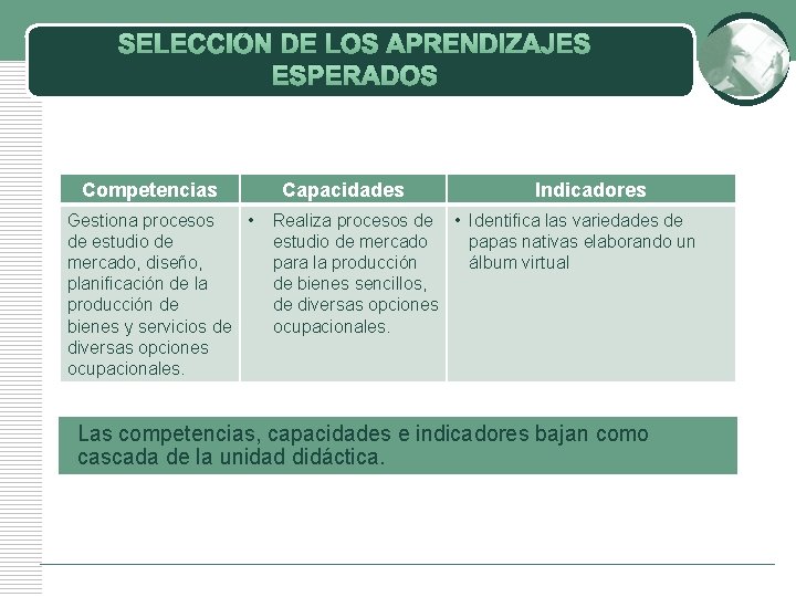 SELECCIÓN DE LOS APRENDIZAJES ESPERADOS Competencias Gestiona procesos • de estudio de mercado, diseño, SELECCIÓN DE LOS APRENDIZAJES ESPERADOS Competencias Gestiona procesos • de estudio de mercado, diseño,